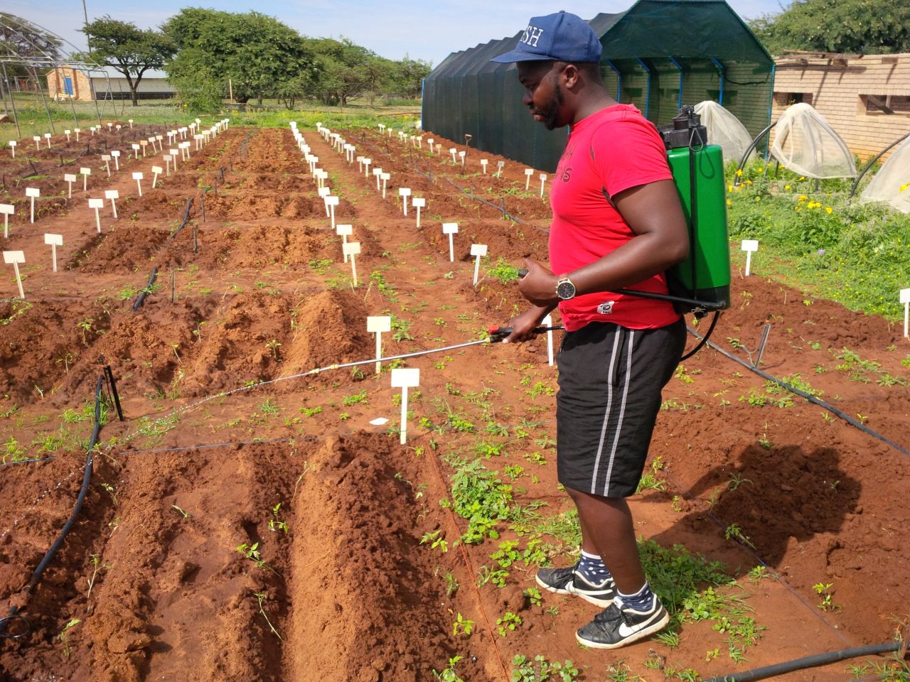 Bursary Student Report: Siyabonga Mathebula